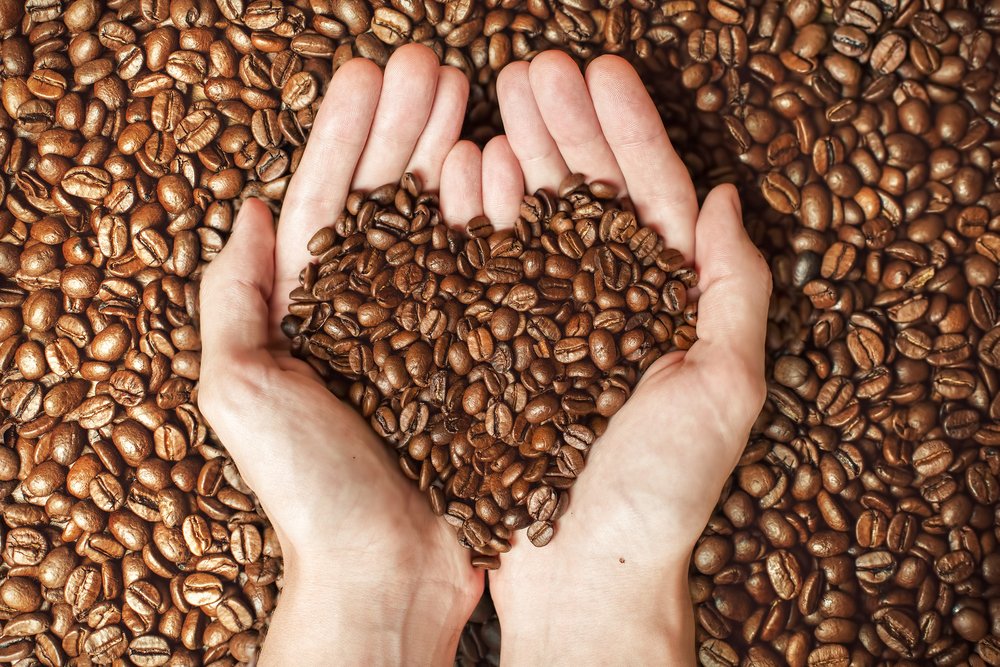 banned_coffee's tweet photo. Did you know you can order Banned Coffee at wholesale pricing? https://t.co/1kzeomsse3 #Wholesale #Coffee #BannedCoffee https://t.co/MjHajzciuh