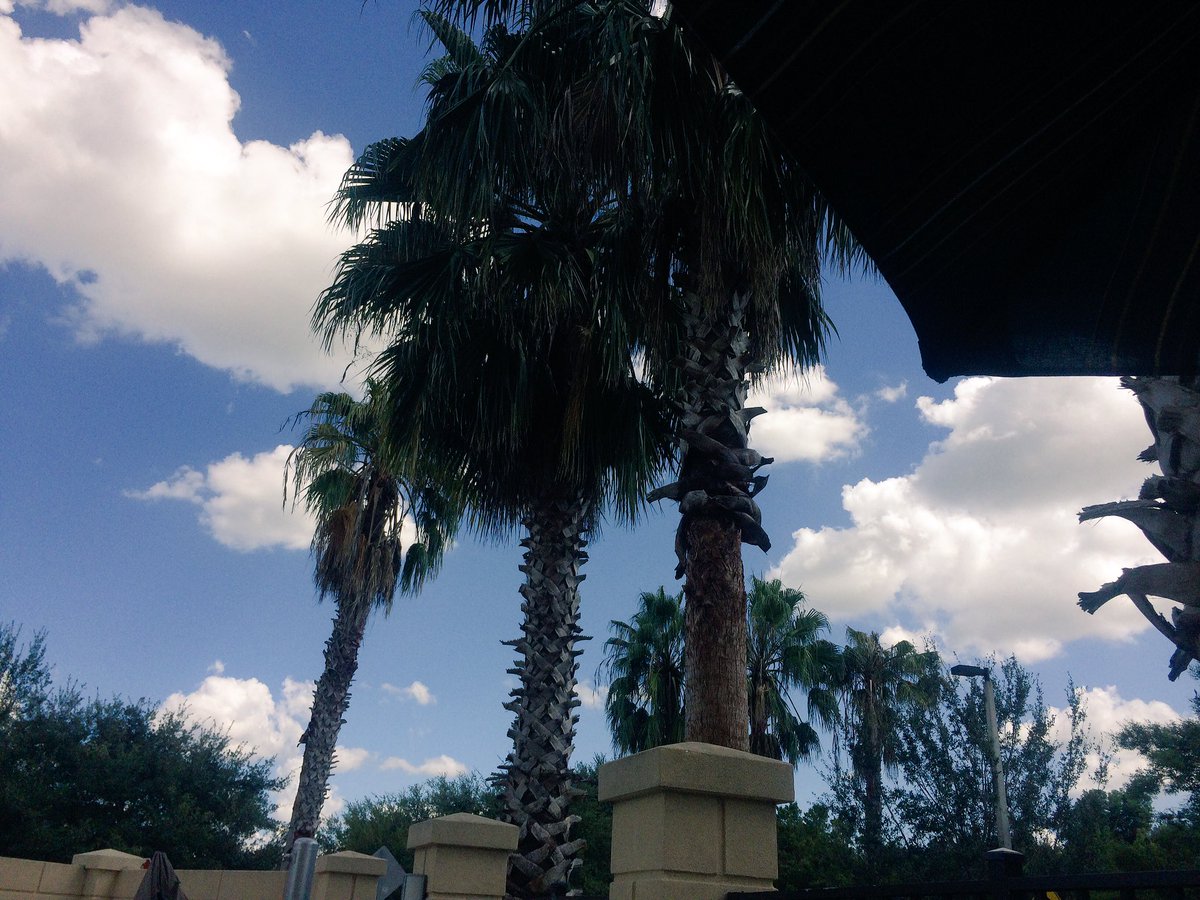 nadiaaahh_13's tweet photo. Work trip to Orlando for the week. Thanks @NescoResource! #itshot #gettingtrained #recruitallday https://t.co/OgU5boVmmZ