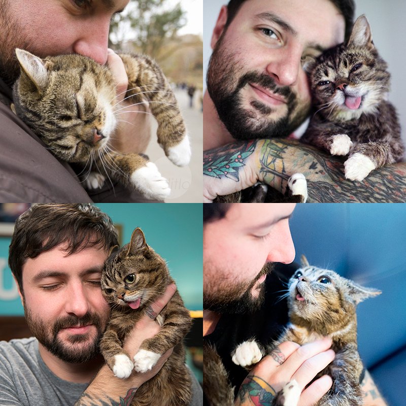 Lil BUB tweet media
