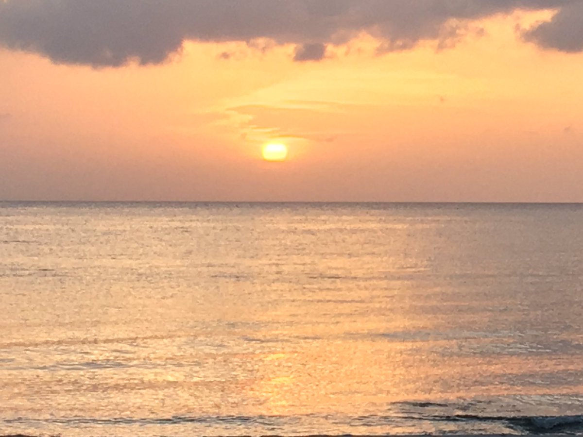 CoachMikeUofL's tweet photo. ✌🏻Cozumel. Back to work. 🏀 https://t.co/c47a2A97xN