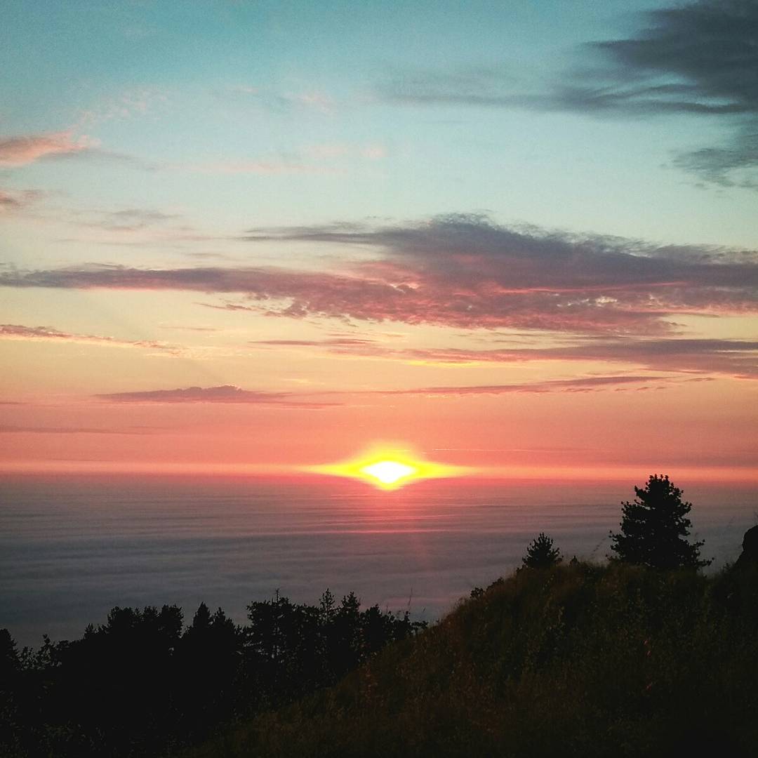 BreezyMulligan's tweet photo. Big Sur above the fogline sunset. Such magic in this world that deserves our protection. #bigsur #magicfound #sunset #NaturePhotography https://t.co/8RNGwPtOpB