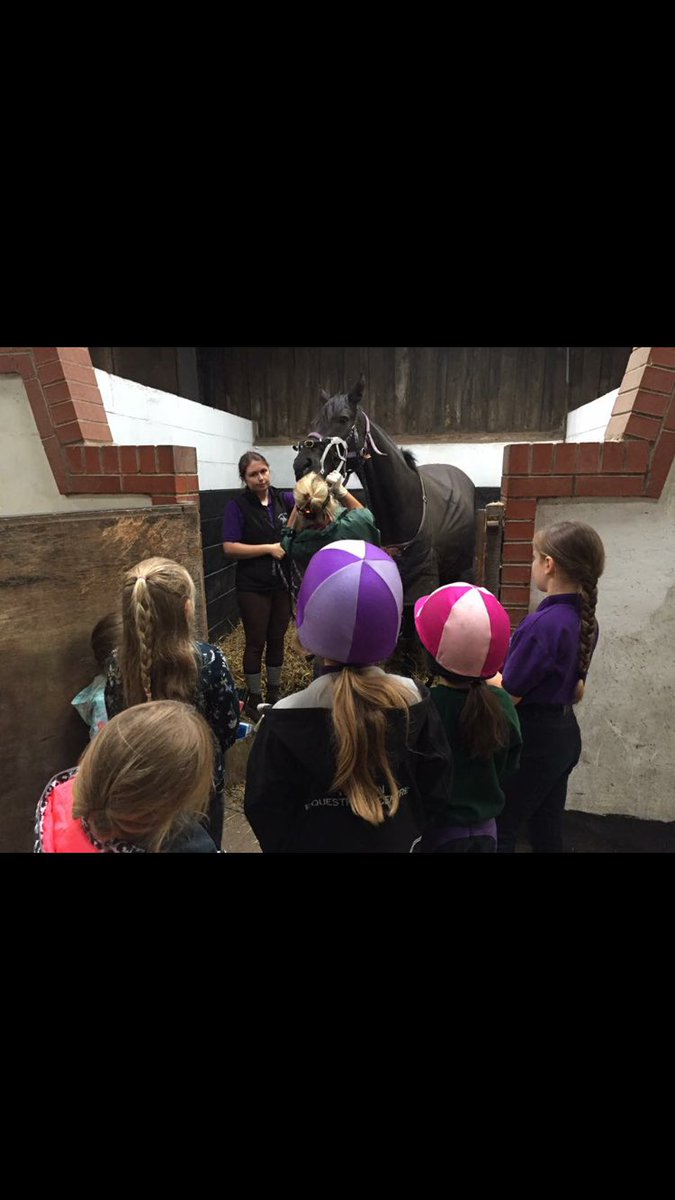 WilsdenEquestr1's tweet photo. Our pony club members are getting to learn all sorts at camps this summer. #EducatingTheYoung #InspiringTheYouth #Farrier #Vet #Dentist https://t.co/09nct4YECv