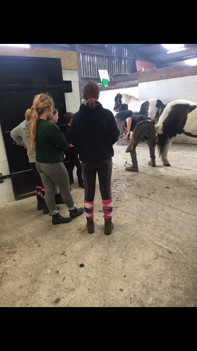 WilsdenEquestr1's tweet photo. Our pony club members are getting to learn all sorts at camps this summer. #EducatingTheYoung #InspiringTheYouth #Farrier #Vet #Dentist https://t.co/09nct4YECv