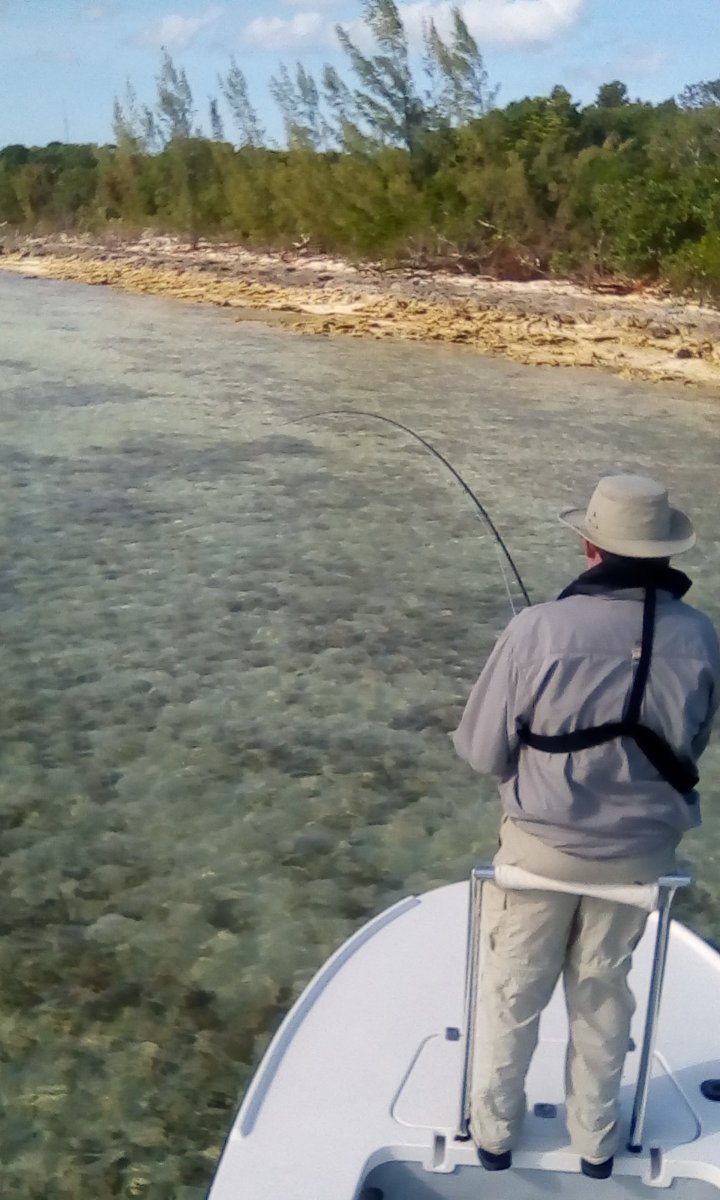 EastEndLodge's tweet photo. The run #fish #bonefish #eastendlodge #flyfishing #Bahamas #fisherman #ocean #saltwaterfishing #fishing #fish #saltlife #fishon #flatfishing https://t.co/QkeZ04Kbjf