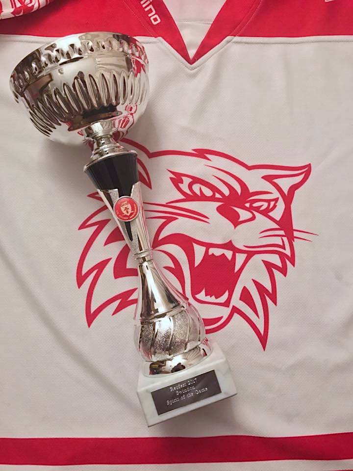 Great weekend at Swindon #recfest2017 With some help from our friends <a href="/sabertoothsIHC/">Swindon Sabertooths</a> <a href="/RAFBluewings/">RAF Bluewings</a> <a href="/SwindonTopcats/">Swindon Topcats</a> #hockeyfamily