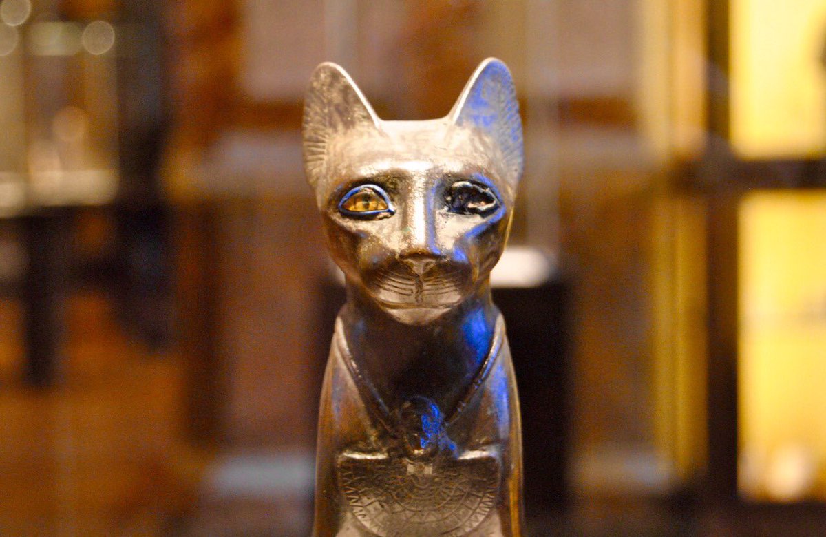 artnimals's tweet photo. Happy #InternationalCatDay! 

Here are some of the best #cats from @MuseeLouvre

- Delacroix
- Ancient Egyptian sculptor
- Fragonard https://t.co/klyxnFfZQX