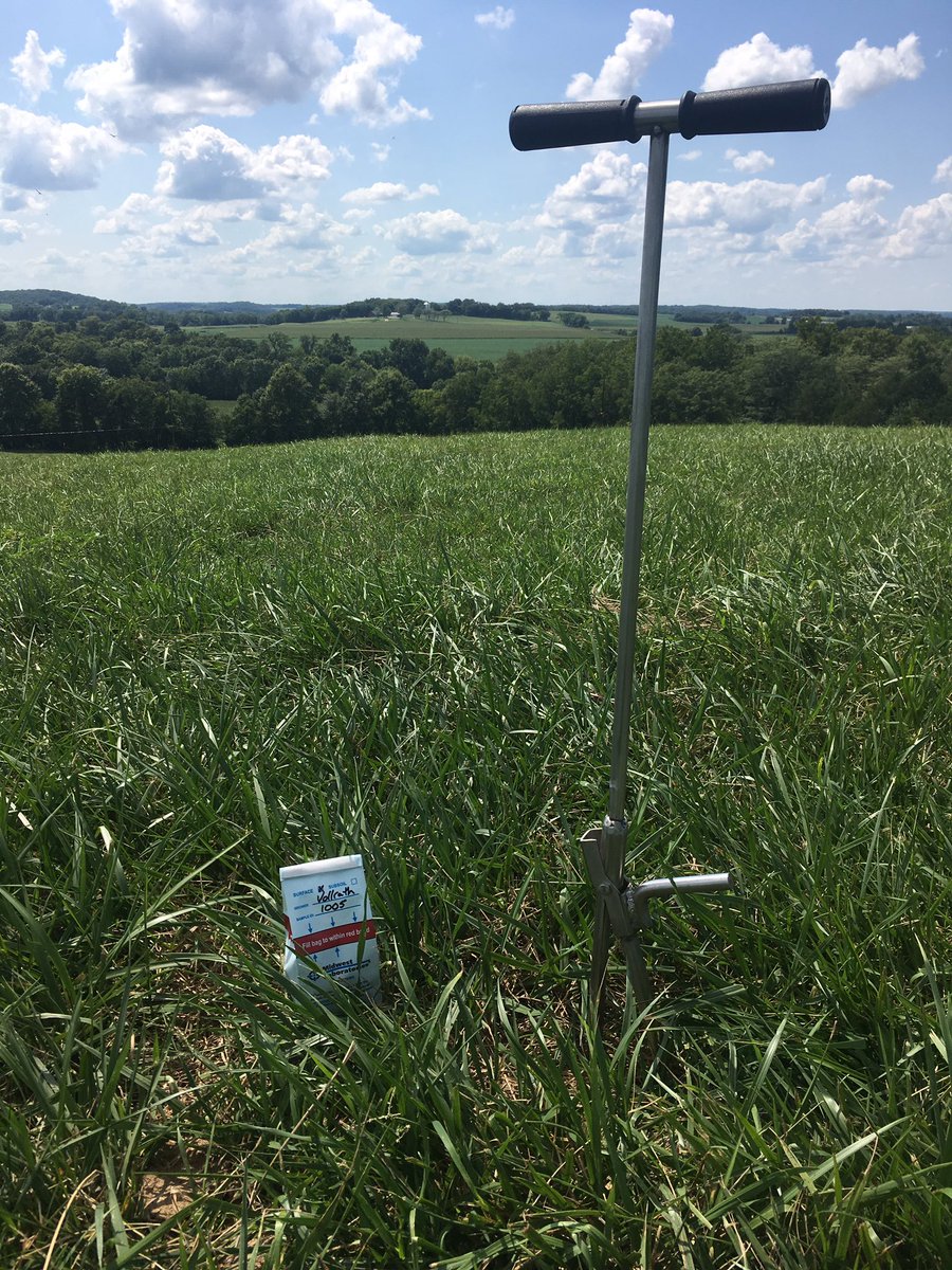 Dennis Vollrath tweet media