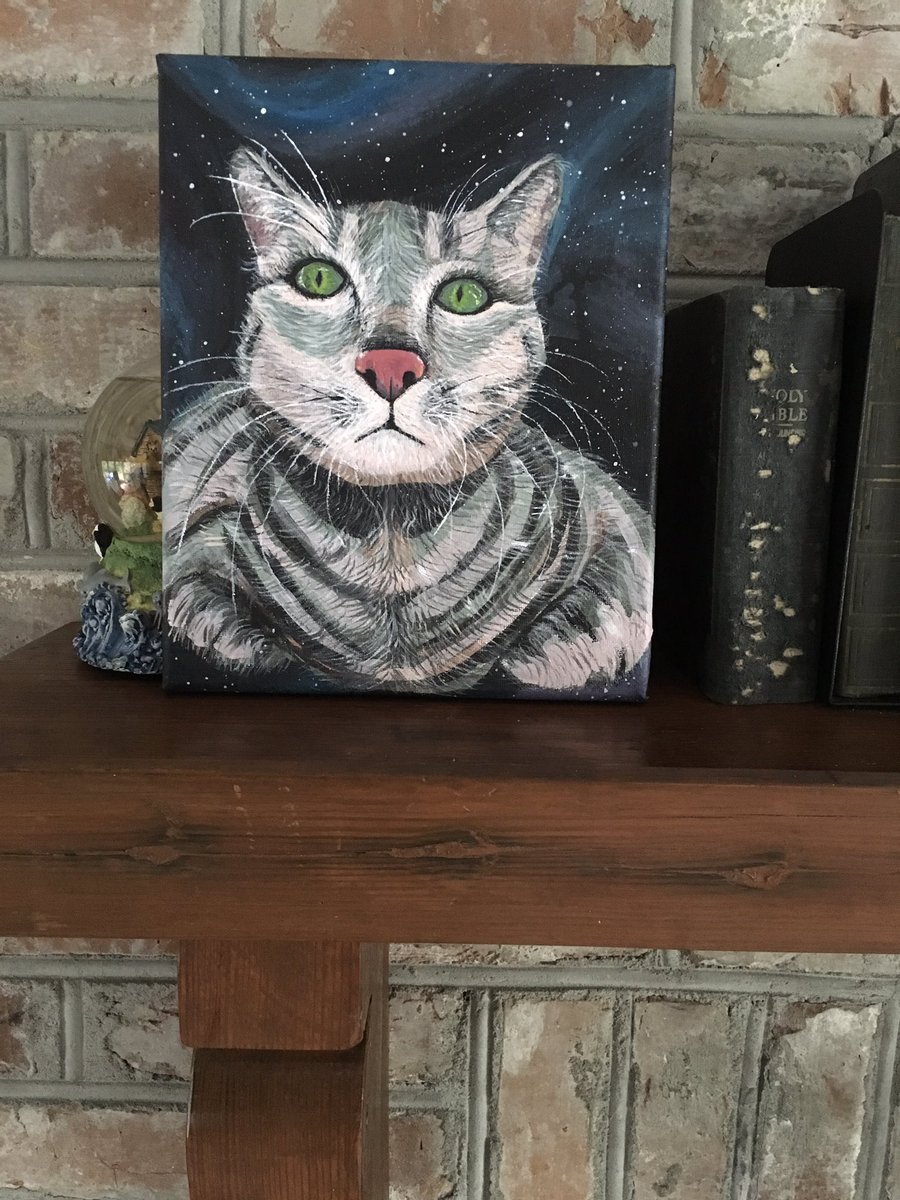 Bebes_Scrubs's tweet photo. @HoperTheMoper love your portrait #Crazycatladiesunite https://t.co/f6ECRUfigO