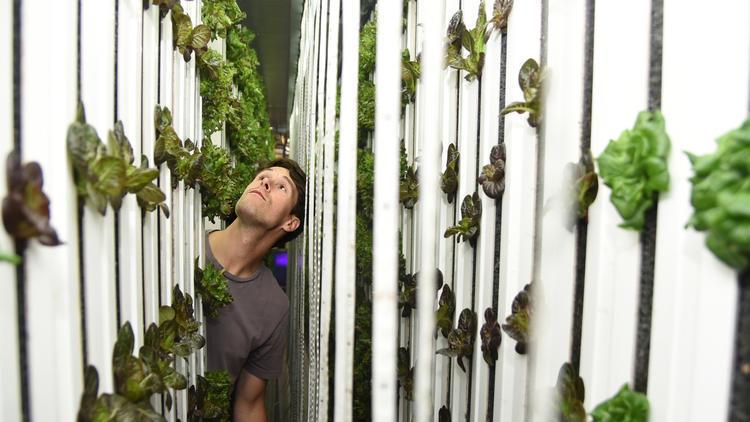 Great profile of <a href="/UPastoral/">Urban Pastoral</a> &amp; how its serving as a model for urban revitalization. <a href="/baltimoresun/">The Baltimore Sun</a> ow.ly/vtYi30efXhN