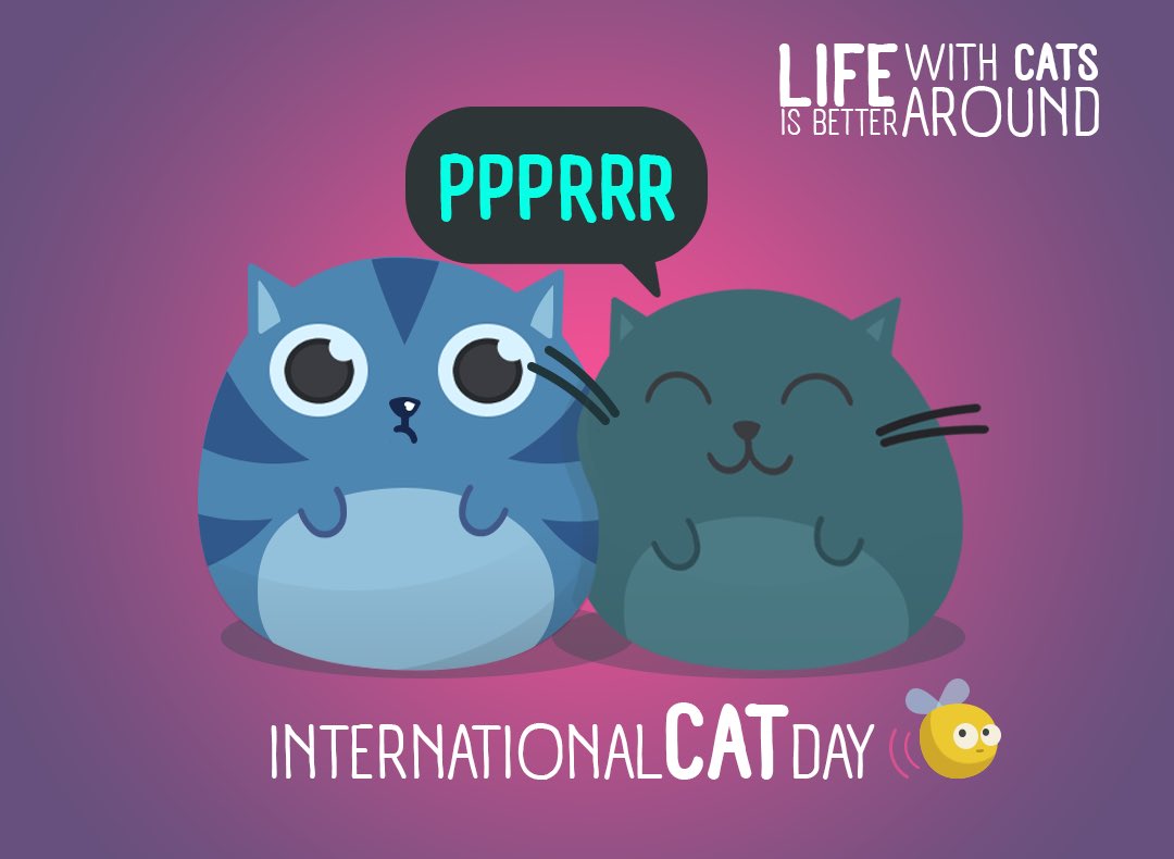 Catfishbox tweet media