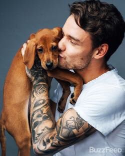 1DupdatesBE's tweet photo. It's #InternationalCatDay so we get pictures of Liam with pups 😂 https://t.co/KWuOM8MYpL