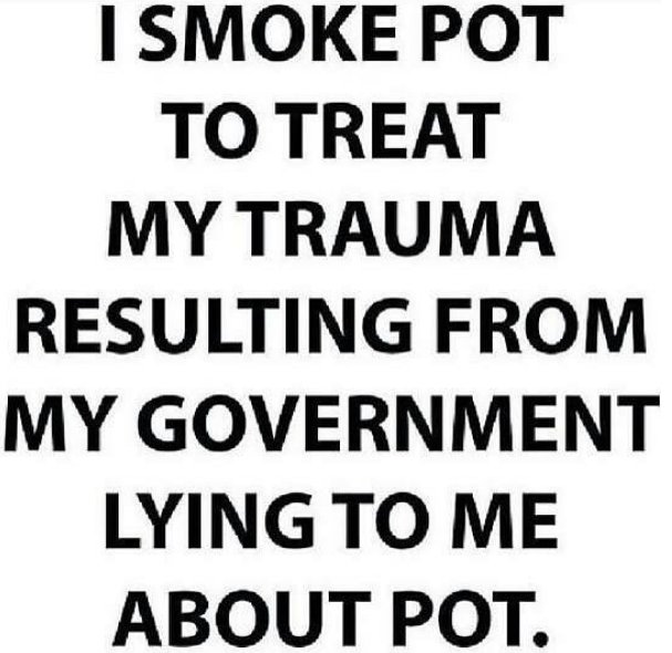 PotValetSB's tweet photo. I smoke pot to treat my trauma resulting from my government lying to me about pot.https://t.co/cVyQ0brQNw #PotValetSantaBarbara #Marijuana https://t.co/8Y0h1EYEJz