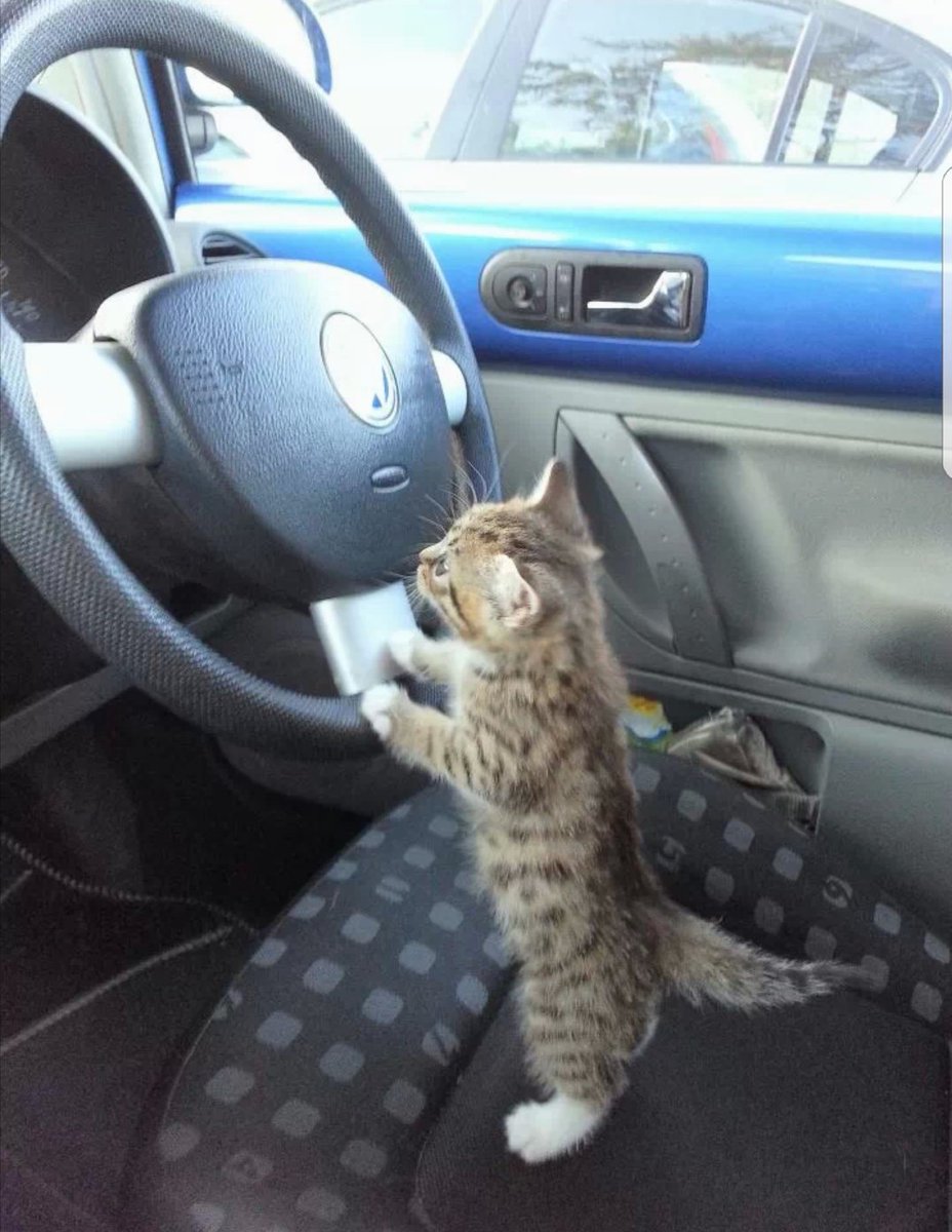 Мы едем бить тебе. Нет времени объяснять. Я буду. Бьет еду. Я найду тебя и разобью мем eset.