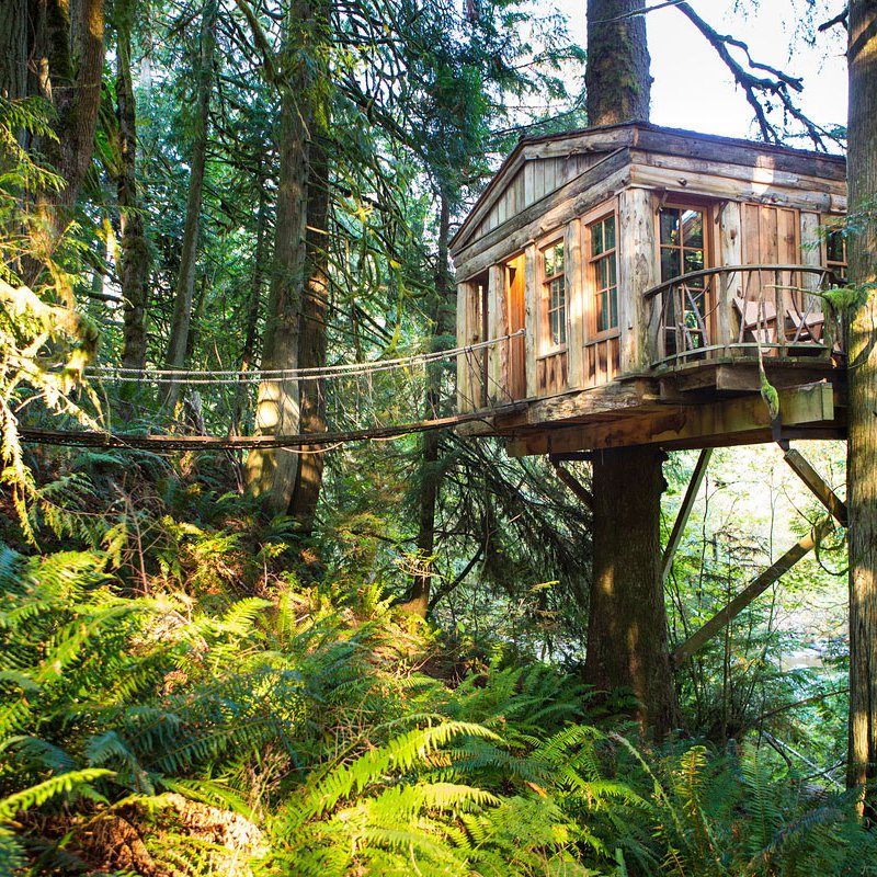 PurcellProps's tweet photo. Just outside Seattle, Washington, is the treehouse B&amp;B named TreeHouse Point 🌳 🏠  The treehouse has 6 rooms available 😍 #TreehouseTuesday https://t.co/wmkcfSf9SZ