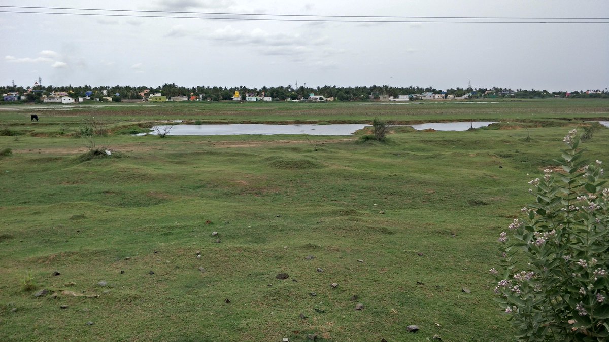 water_wct's tweet photo. On Saturday (05/08/2017) the team proceeded to Nemilichery lake located in @Thiruvallur district. https://t.co/wVRlMh6P93