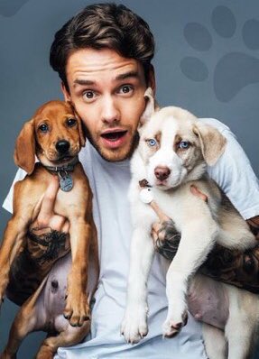 LPayneTXUpdate's tweet photo. My heart -C #liampayne @LiamPayne https://t.co/6Xe4uvyPoB