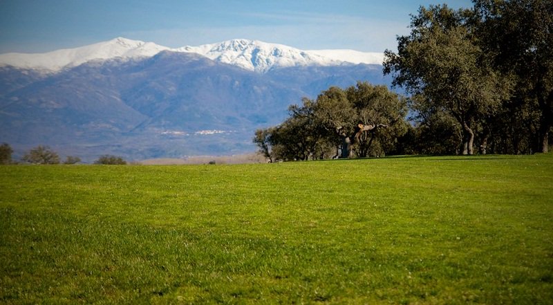 Nunca es una palabra que no debería de existir ¡#FelizMartes de #golf desde <a href="/TalayuelaGolf/">Talayuela Golf</a>!