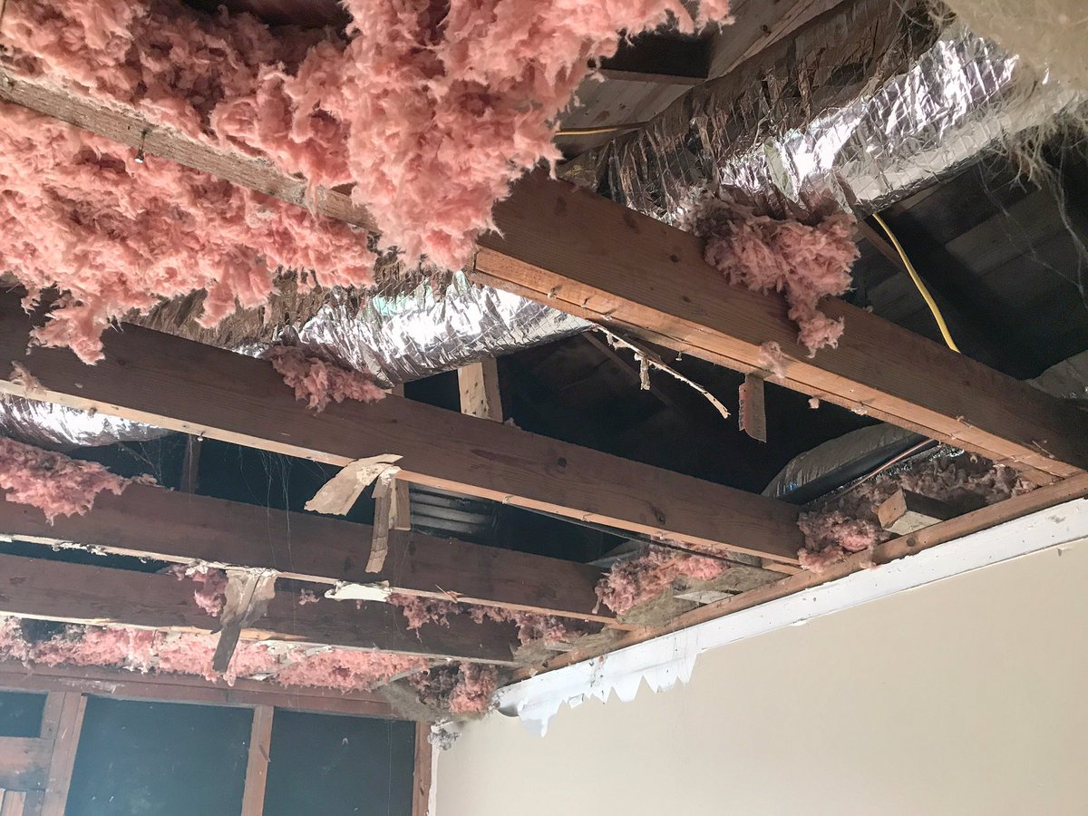 MoldTerminator's tweet photo. Roof leaks can cause a number of problems, including mold growth.
Let us terminate your mold!
#MoldRemoval #MoldTerminator
#HowToKillMold https://t.co/F23mmpEXEf
