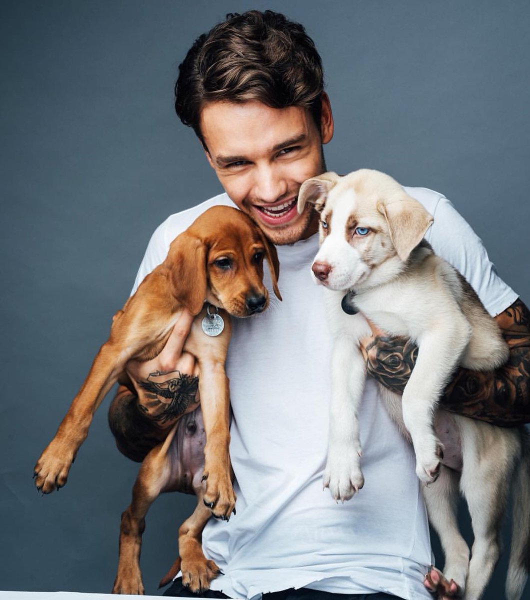 PaynoPicss's tweet image. Liam na Instagramie (2)
Woof Woof 🐶🐶