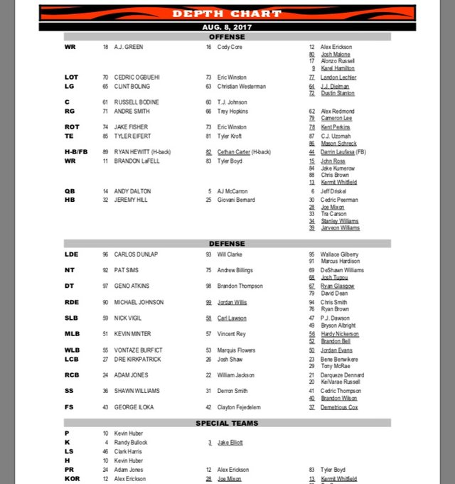 2017 Bengals Depth Chart