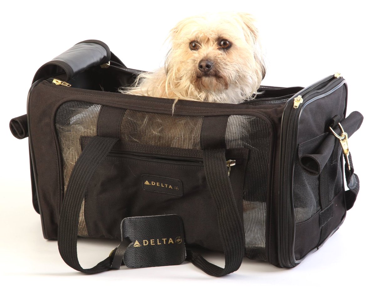 epicpetstuff's tweet photo. Sherpa Dog Carrier      
Deal of the day >>>   https://t.co/cQMrQ9Bhio https://t.co/rs9KjHZlLR