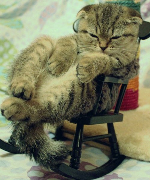 artnimals's tweet photo. @JenAnjuGrossman Coincidence? I THINK NOT https://t.co/LBScnRWRGH