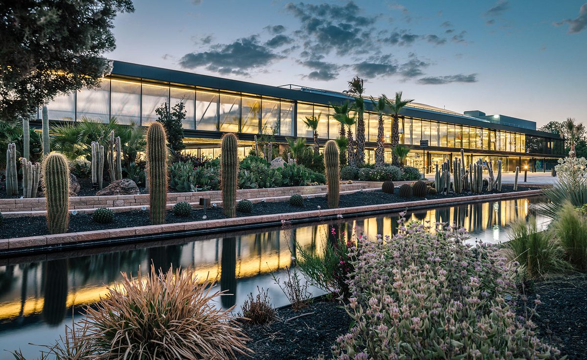 wallpapermag's tweet image. New roots: Europe’s largest cactus garden springs from an industrial wasteland wlpr.co/7tdUs7