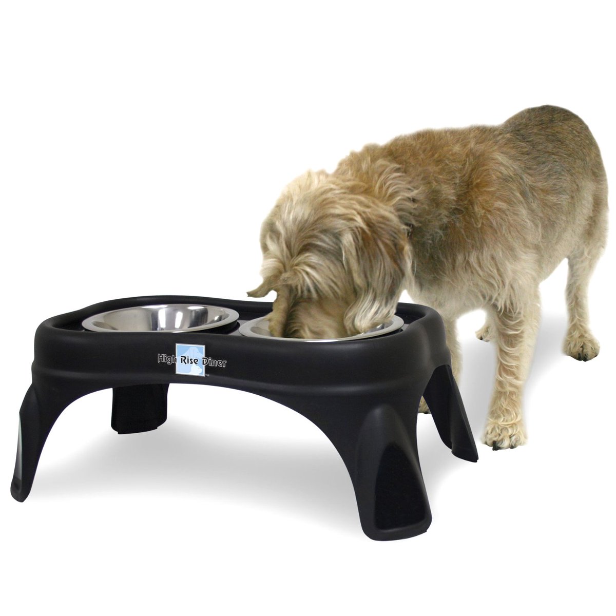 Awesome raised dog bowel!      
Buy it now >>>>>   bit.ly/28ZzHng