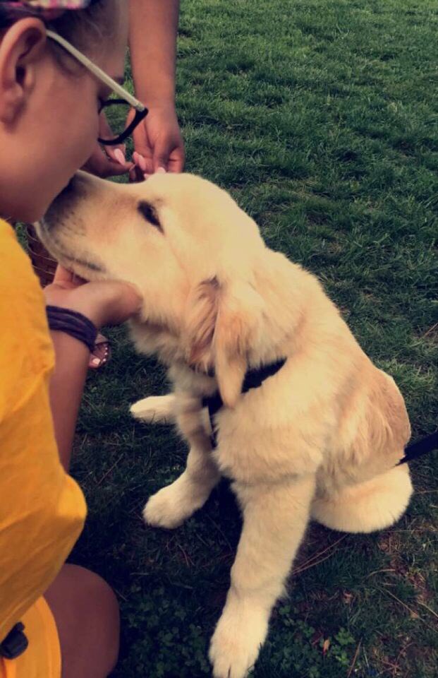 Here's to a tail wagging summer😎🐾