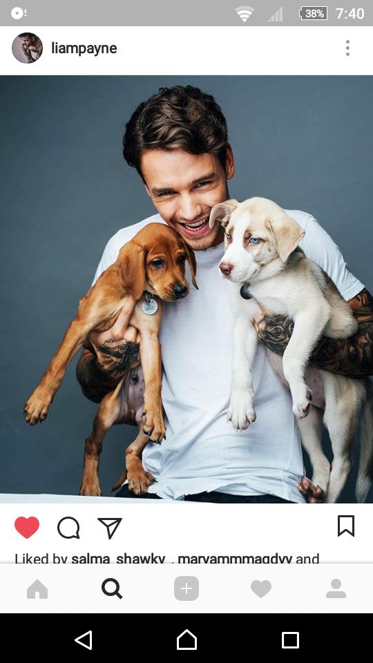 OneDire29501243's tweet photo. @LiamPayne via Instagram ❤ ❤ https://t.co/lJchcS1dTv