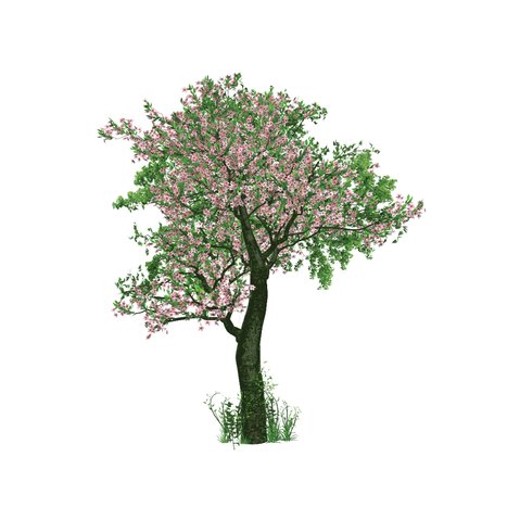 mdsohelrana78's tweet photo. The Giving Tree Canvas Buy it Go- https://t.co/bJ5y1JVec3 #BoostedCanvas #amazonecanvas #amazon #canvas #canvas2017 #canvasart #treecanvas https://t.co/14MiNTfc0C