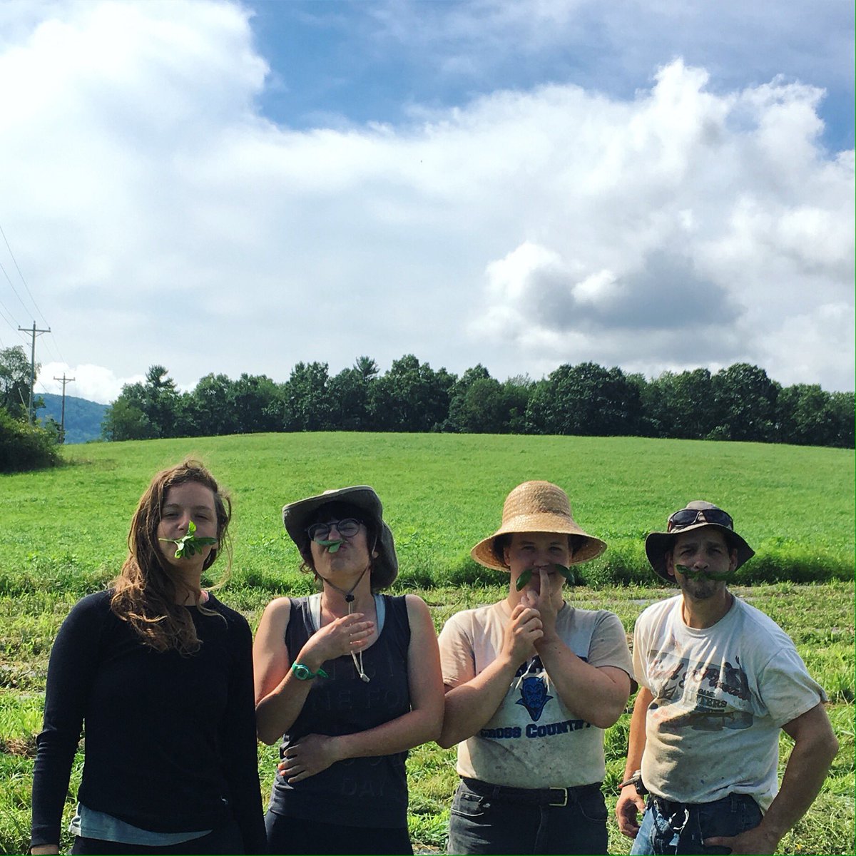 New Morning Farm tweet media