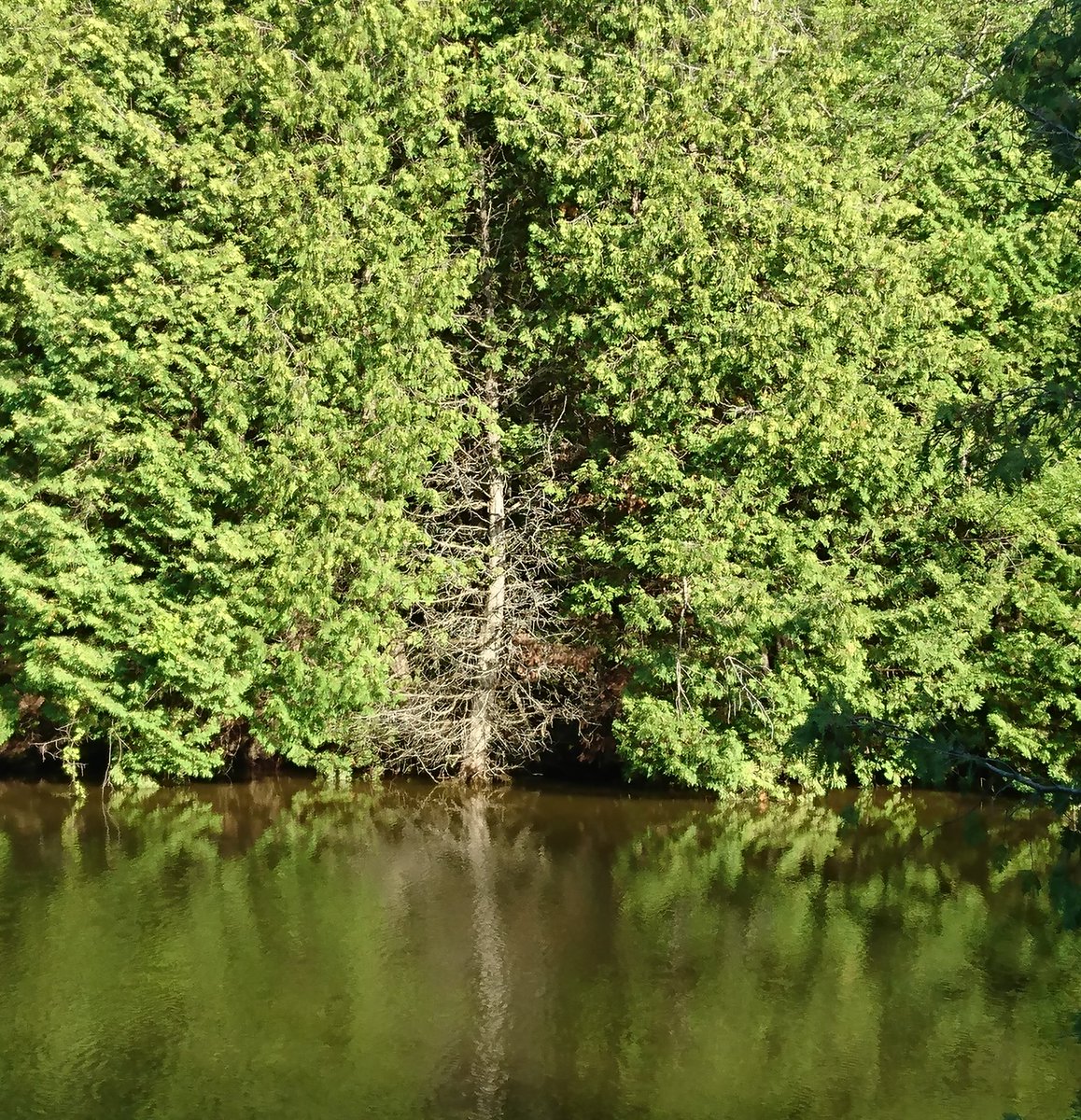 705Pablo's tweet image. Negative space.