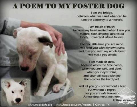 Haily Capwell (@capwellhero) on Twitter photo 
