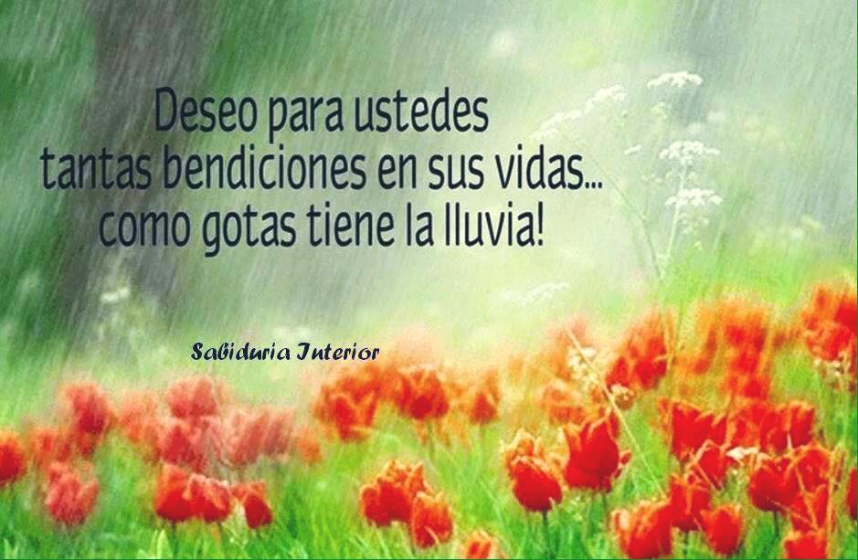 TarotMataro's tweet photo. Buenas noches y dulces sueños. Que la luz de vuestra alma os ayude a encontrar la felicidad deseada.

Namaste ॐ 🙏 https://t.co/hSR8BZeDGX