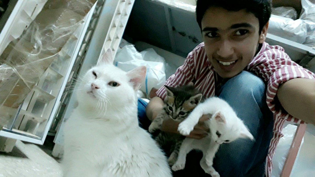 SalemGargom's tweet image. #internationalcatday
#rip #mesho