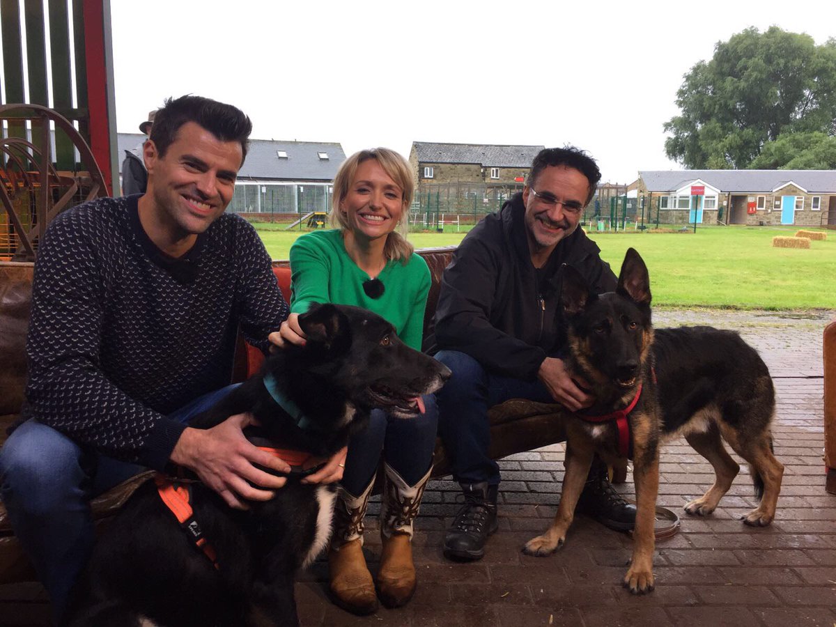 animalrescuec4's tweet photo. Woof!! @Dog_Cat_NCLE  #Newcastle @SupervetNF, @SteveJones, @Quilton - let's go. https://t.co/MimrAiiCcr