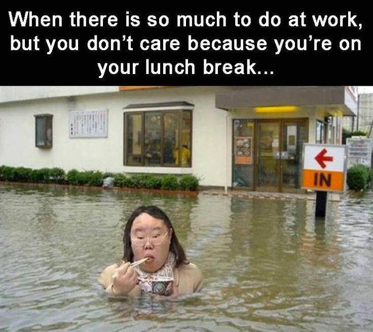 MiniPixieMix's tweet image. 