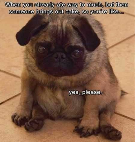 MiniPixieMix's tweet image. 