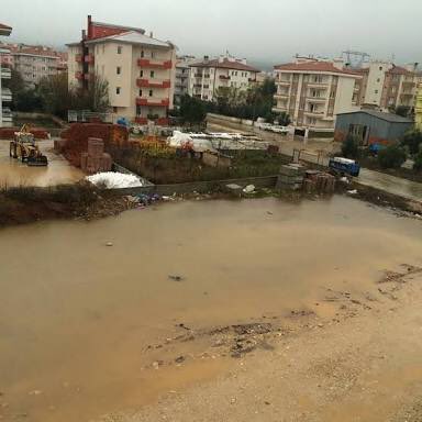 Mugla__Uni's tweet photo. HAYALLER/ HAYATLAR https://t.co/ZLXX5XwIk5