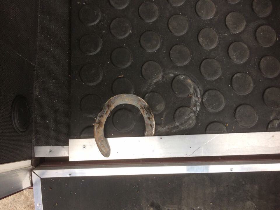 Lowri Bowen tweet media