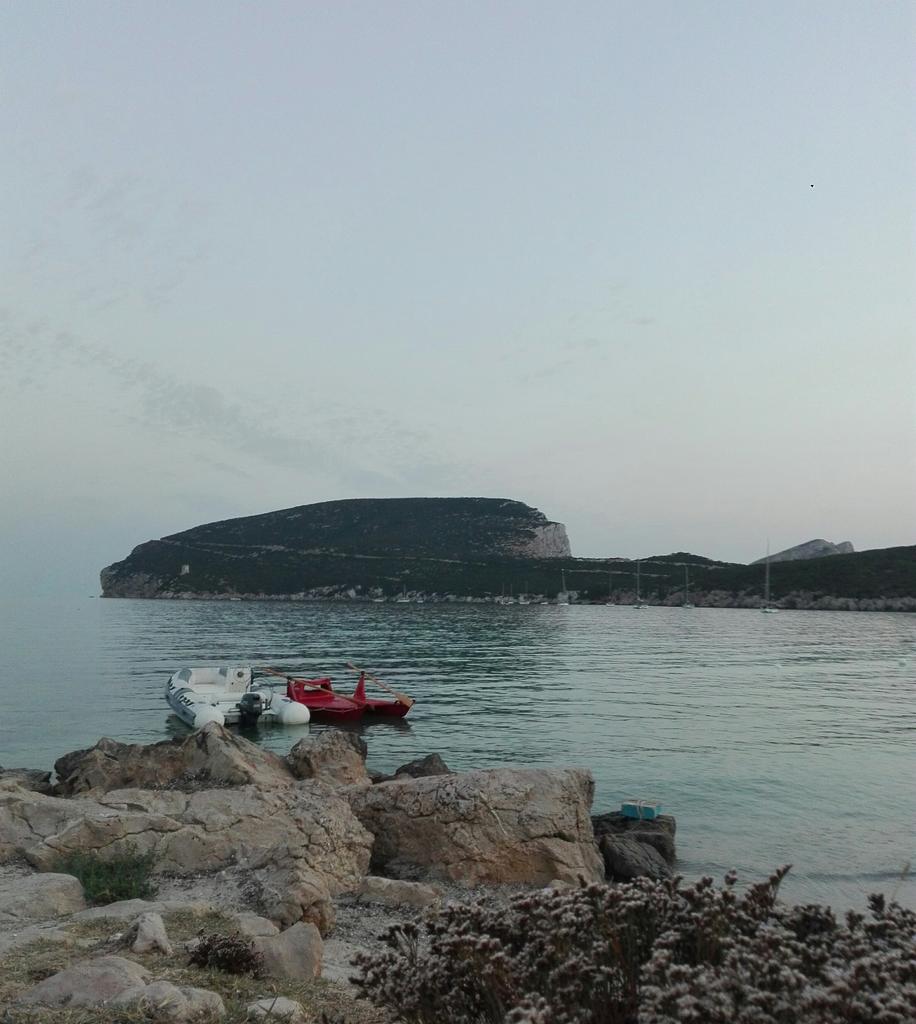 Siamo approdati a #CapoCaccia, meta finale di questo viaggio #ontheroad lungo la #RivieradelCorallo

#cmdt2017 #Alghero #Sardegna