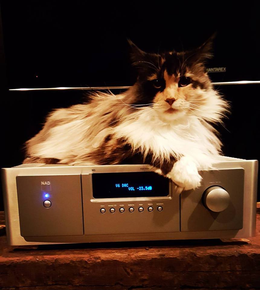 NAD Electronics tweet media