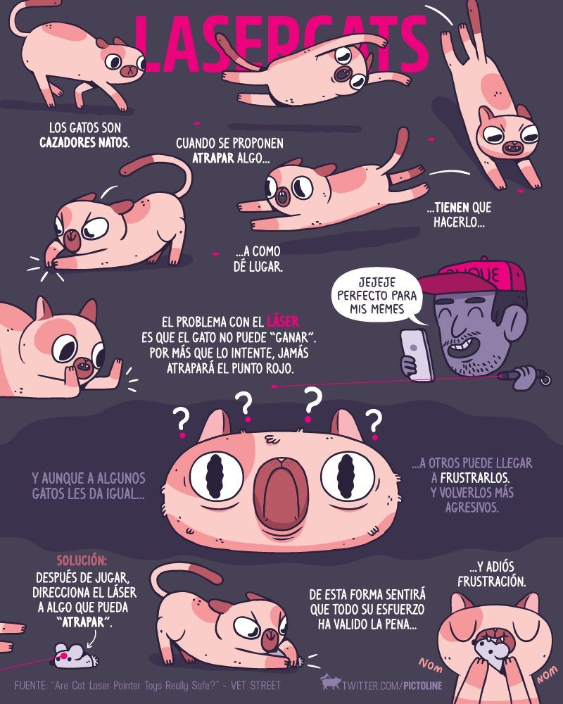 pictoline's tweet photo. Porque amamos a los gatos ❤️ 🐱
En el #DíaInternacionalDelGato recordamos que no es tan buena idea jugar con lásers 🙀 https://t.co/MnThAH9WfF