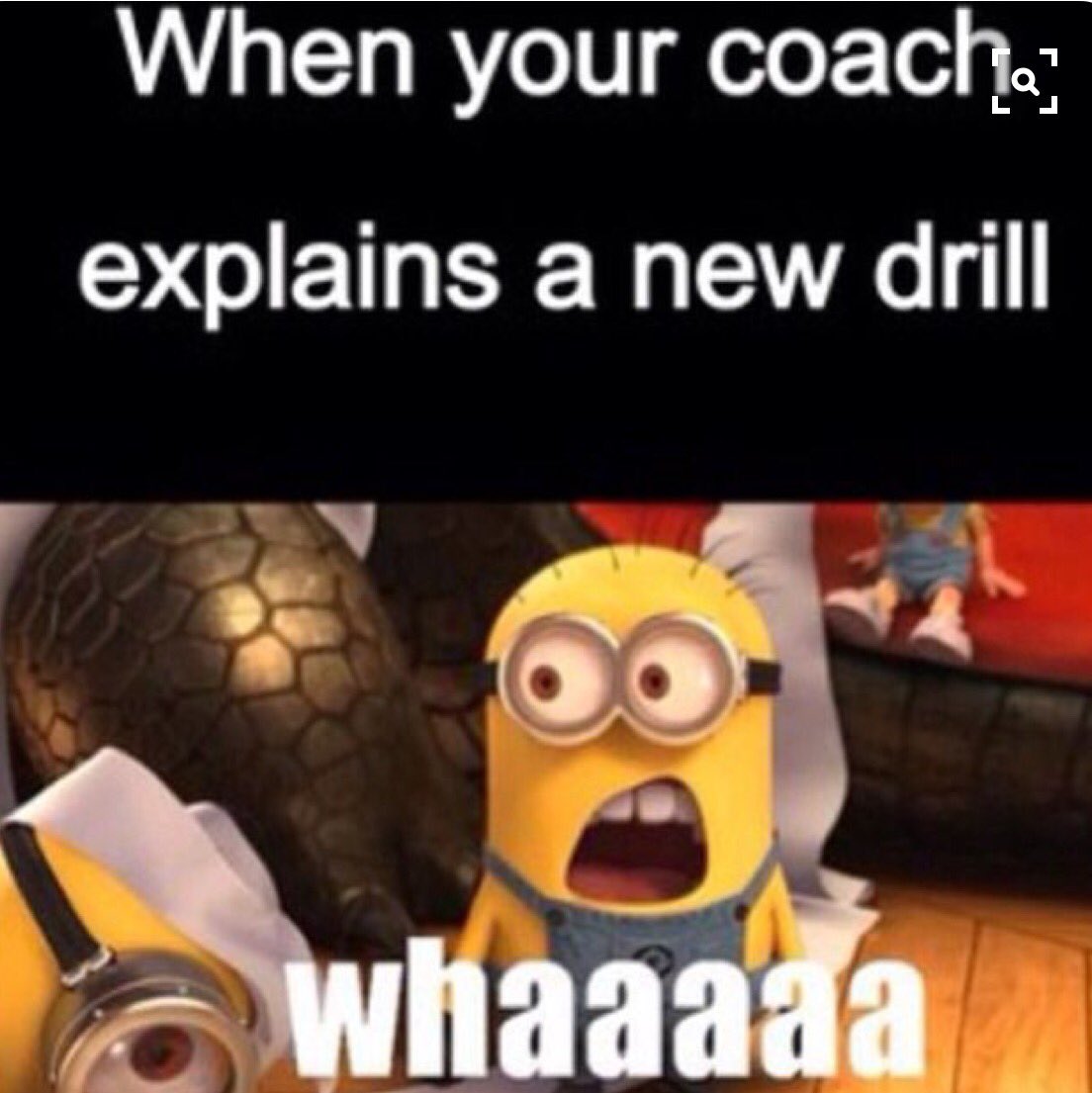 Bailey McNally tweet media