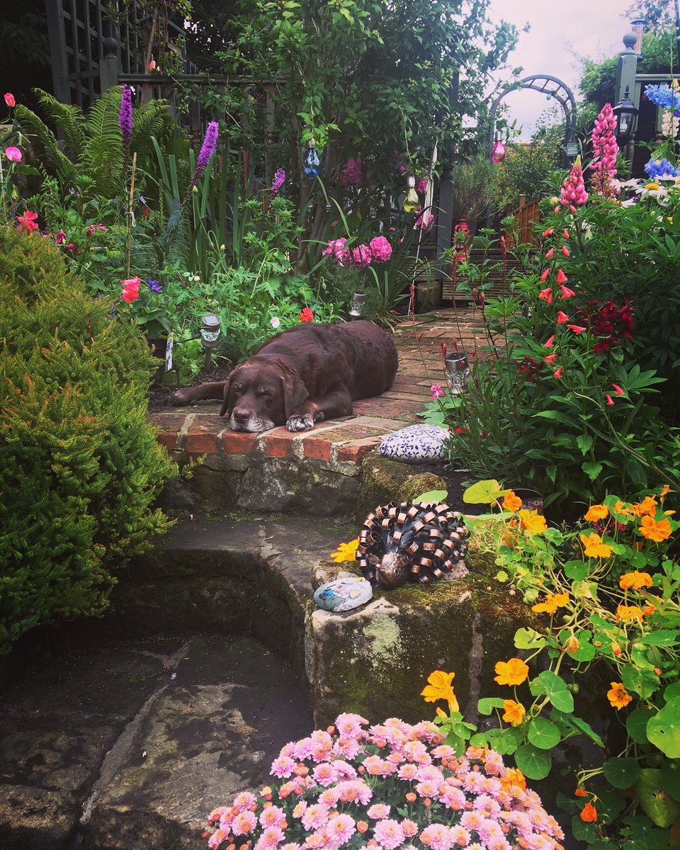 Beautiful Buttons 💙💙💙💙