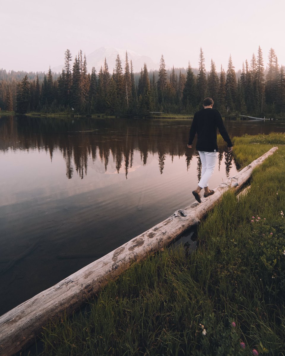RobStrok's tweet photo. First time exploring Mount Rainier this year 🌲 https://t.co/qkRmTXPmmK
