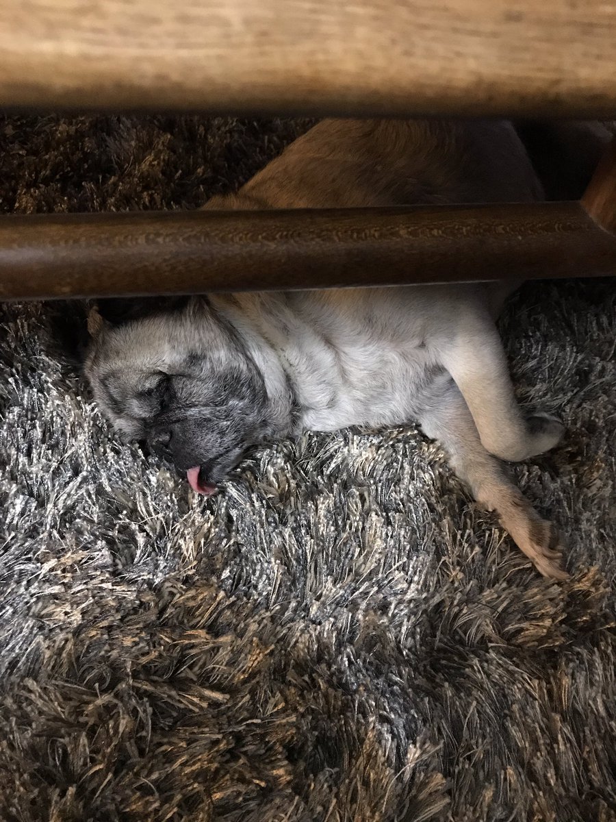 jonnettelynn's tweet image. When you're playing Hide and Seek with someone who is terrible at finding.