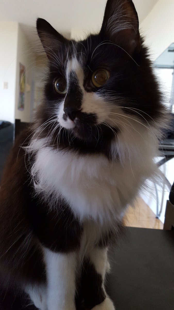 Melissa McQuarrie tweet media