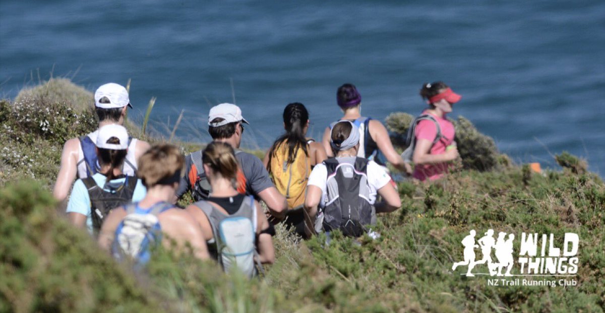 WILD THINGS NZ tweet media